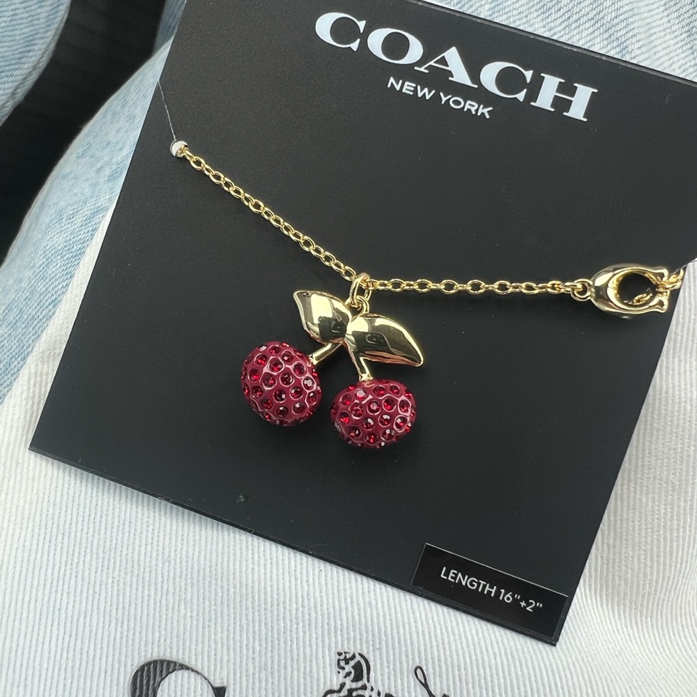 Viral Coach Cherry Charm Necklacee